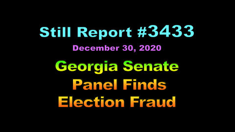 Georgia Senate Panel Finds Election Fraud, 3433