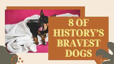 8 Heroic Dogs Who Changed History Forever: Unbelievable Acts of Bravery!