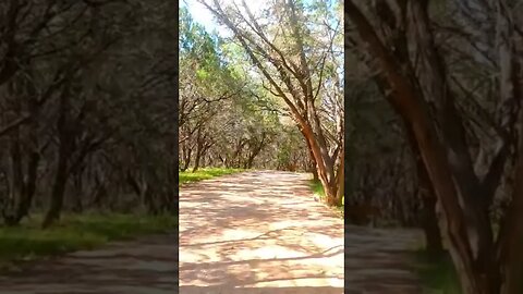 Pedernales State Park is so nice! #bumpyroadsrvlife #rvlife #pedernalesfalls