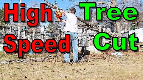 High Speed Tree Cut