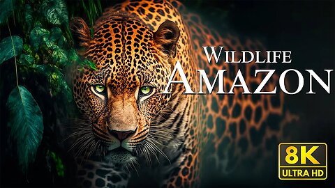 Amazon Wildlife 8K - Wonderful Wildlife Movie With Soothing Music