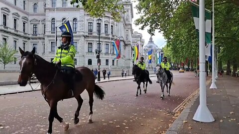 met police horses st James's park 23 September 2022 #london