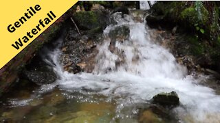 Gentile waterfall on the back roads of Snoqualmie Washington