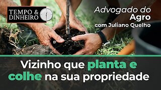 Advogado do Agro Responde sobre vizinho que planta e colhe na sua propriedade