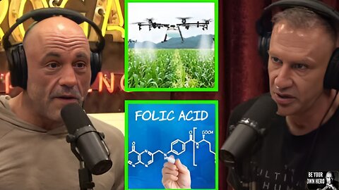 Gary Brecka Tells Joe Rogan About Folic Acid A Chemical In Our Food & What It's Doing To Your Body