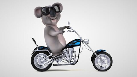 Funny panda on a motorbike