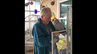 African Great Parrot loves to give kisses and snacks