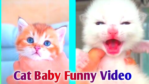Cat Baby Funny Video #short || Loud speaking