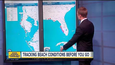 Check Florida beach conditions before you go