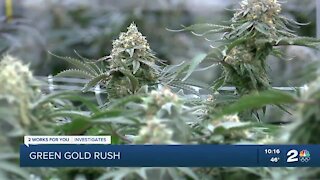Green Gold Rush: The debate over recreational marijuana in Oklahoma