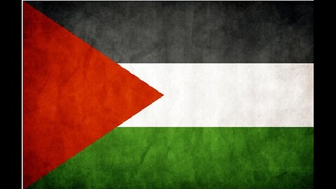 Late July 2024 Palestine update