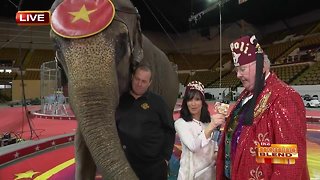 A Preview of the 2019 Shrine Circus!
