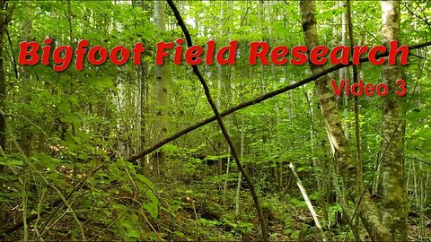 Bigfoot Field Research | Video 3 | 8/5/21