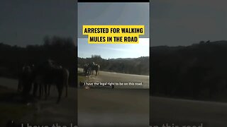 Arrested For Lawfully Traveling... With MULES!? - Lawsuit!