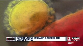 Deadly Fungus Spreading Across Country