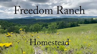 #7 Homesteading: Reclaiming our FREEDOM; From CITY LIFE to COUNTRY LIVING!