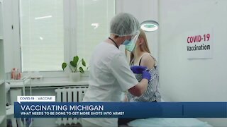 Vaccinating Michigan
