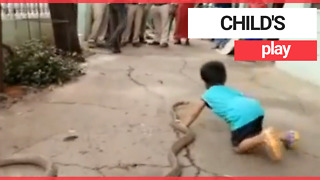 Three-year-old child plays with two snakes