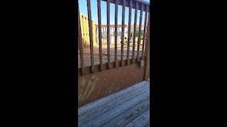 Deck makeover Project Part one