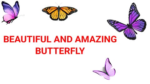 Amazing butterflies must Watch