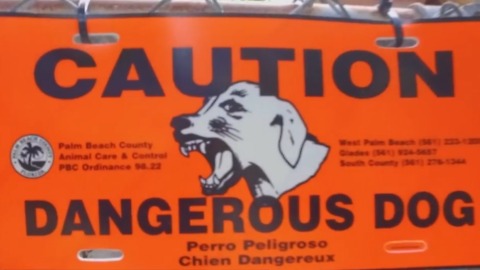 Contact 5 investigates 'dangerous dog' list, uncovers fatal dog attack in Palm Beach Co.