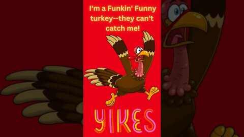 Gobble, Gobble A Funkin' Funny Turkey Day!