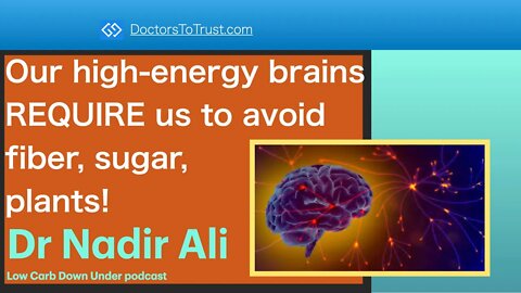 NADIR ALI Part 4: Our high-energy brains REQUIRE us to avoid fiber, sugar, plants!