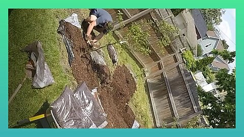 Fruit Trees, Grass Transplant, Mulch and More | 2023 Landscaping Part 1