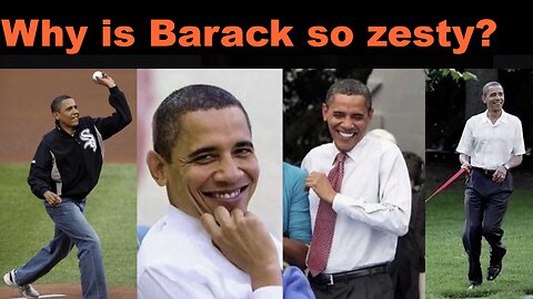 Obama is GAY? what does a zesty obama mean?