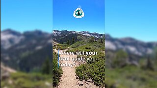Trail Running on the PACIFIC CREST TRAIL near Truckee, CA