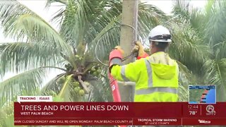 FPL secures power line after tree branch falls on it