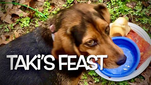 Taki’s Feast 2023