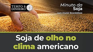 Soja de olho no clima americano