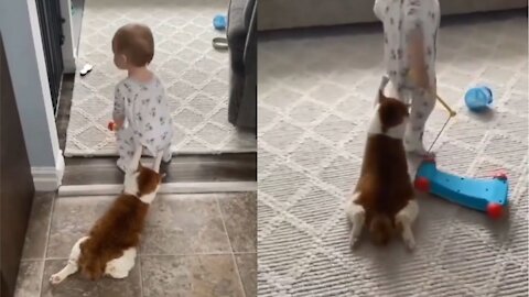 Cute baby plays train with cat