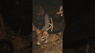 What Dreams Are Made Of With A Buck Of A Lifetime!