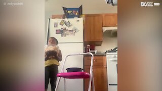Cookie nearly tempts little girl to fail "Don't Eat It Challenge"