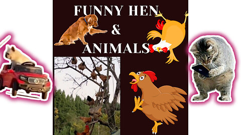 Funny hen 🐓🐔video, Funny animals 🐈‍⬛😹 funny Hen🐓🐈‍⬛😄, funny animals i Part 11