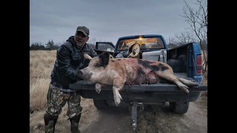 Disabled veteran hunt (first ever hog)