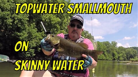 Topwater Bite is Picking up on Skinny Water!