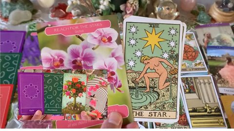 Gemini ♊️ “Your Money Month! Reach For The Stars!” 🌟 April Tarot, Aura, Love and Flower Reading. 💐
