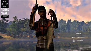 Fishing Planet Folge 520 Tiber Forelle und Rapfen