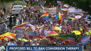 Proposed bill to ban conversion therapy