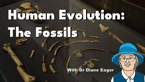 Human Evolution: The Fossils. #human #evolution #fossil #apeman