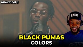 black pumas colors
