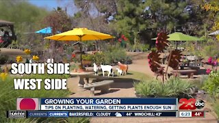 Growing your garden, tips on how to start your garden