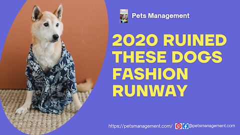 2021 Ruined Dogs Fashion Runway