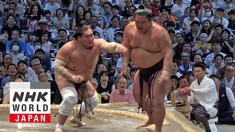 Bout of the Day: Day 8 of the July 2024 GRAND SUMO Tournament - NHK WORLD-JAPAN| U.S. NEWS ✅