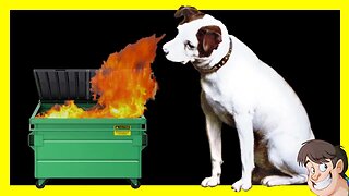 🐶 The Dog that DESTROYED a Game Store | GYCW | Larry Bundy Jr