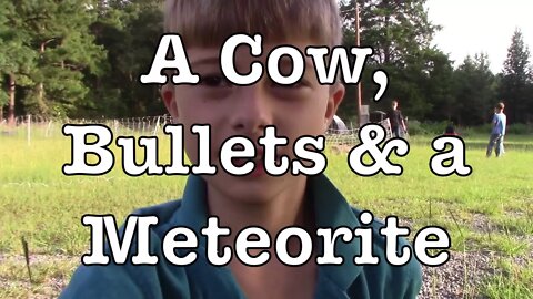 A Cow, Bullets and a Meteorite