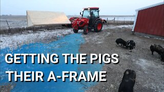 Bed & Breakfast For The Idaho Pasture Pigs